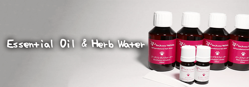 Essential Oil & Herb Water